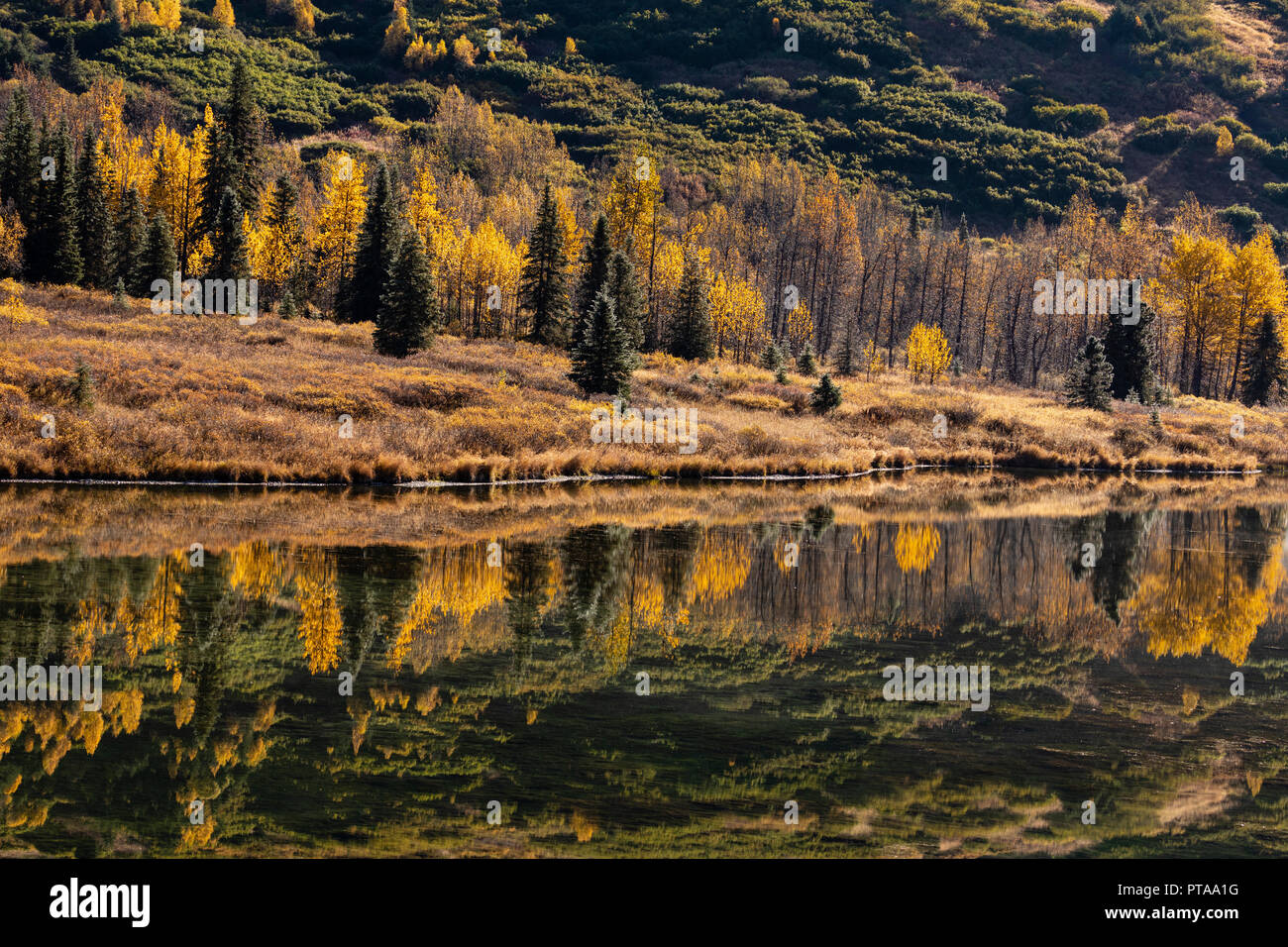 Il fogliame di autunno riflesso in basso lago Summmit centromeridionale in Alaska. Foto Stock