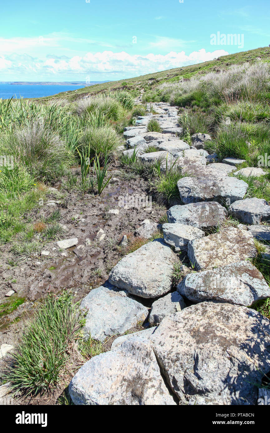 Le pietre formando un sentiero su terra paludosa a Hellesveor Cliff, vicino a St. Ives, Cornwall, Regno Unito Foto Stock