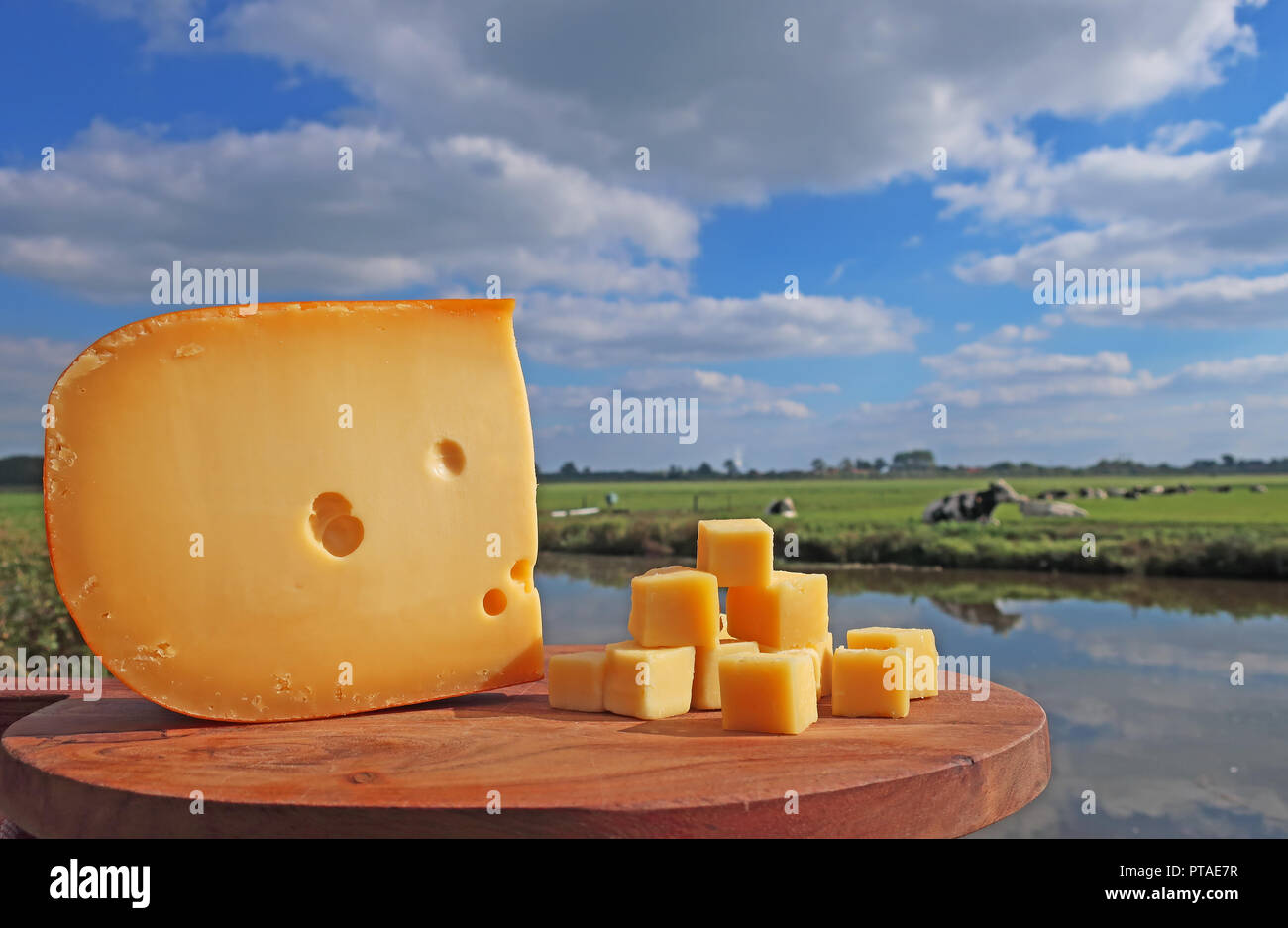 Formaggio olandese sul piatto di legno con le mucche sullo sfondo Foto Stock