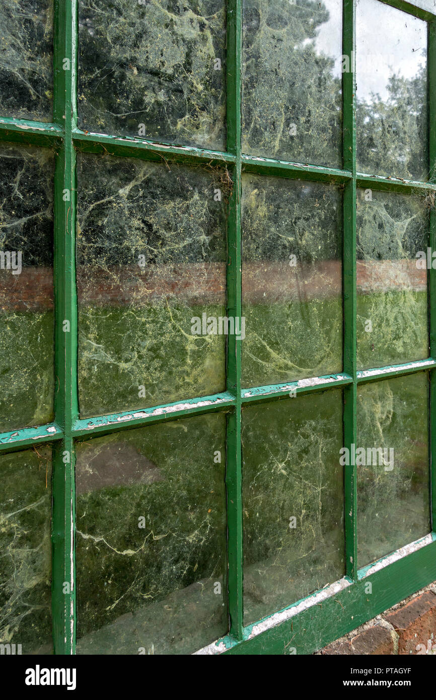 Dirty windows - vecchio e sporco, vetri delle finestre coperte di ragnatele, ragnatele, polvere e sporcizia. Foto Stock