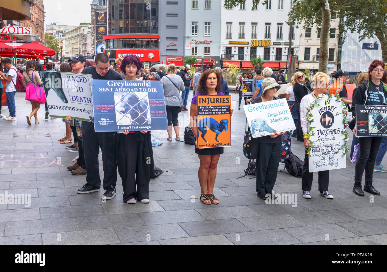 Animale benessere canino contestatori holding cartelloni nel quadrato di Leicester, nel West End di Londra WC2 in una dimostrazione pacifica oltre la crudeltà di levrieri Foto Stock