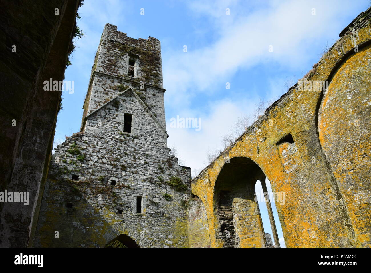 Timoleague Convento, convento francescano in Courtmacsherry, County Cork, Repubblica di Irlanda Foto Stock