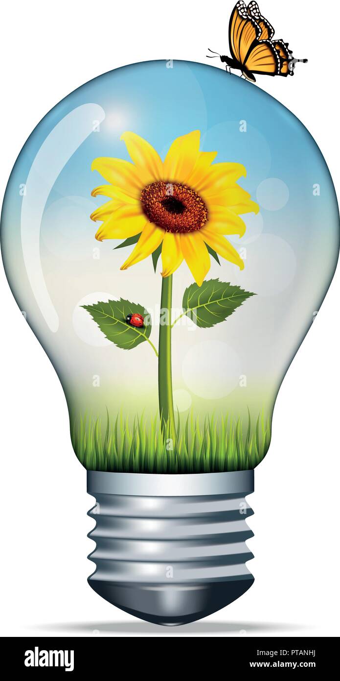 Illustrazione vettoriale di una lampadina con un girasole e una coccinella e sulla parte superiore di una farfalla, concetto ambientale, conseptual energia verde Illustrazione Vettoriale