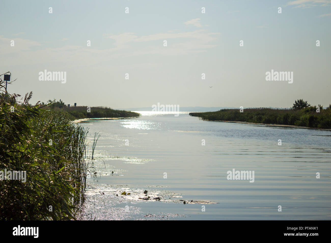 Calda mattina di sole. Vistola Bay e la bocca del Royal Vistola. Il sito di viaggi, natura, la pesca. Pomorskie distretto, Polonia. Foto Stock