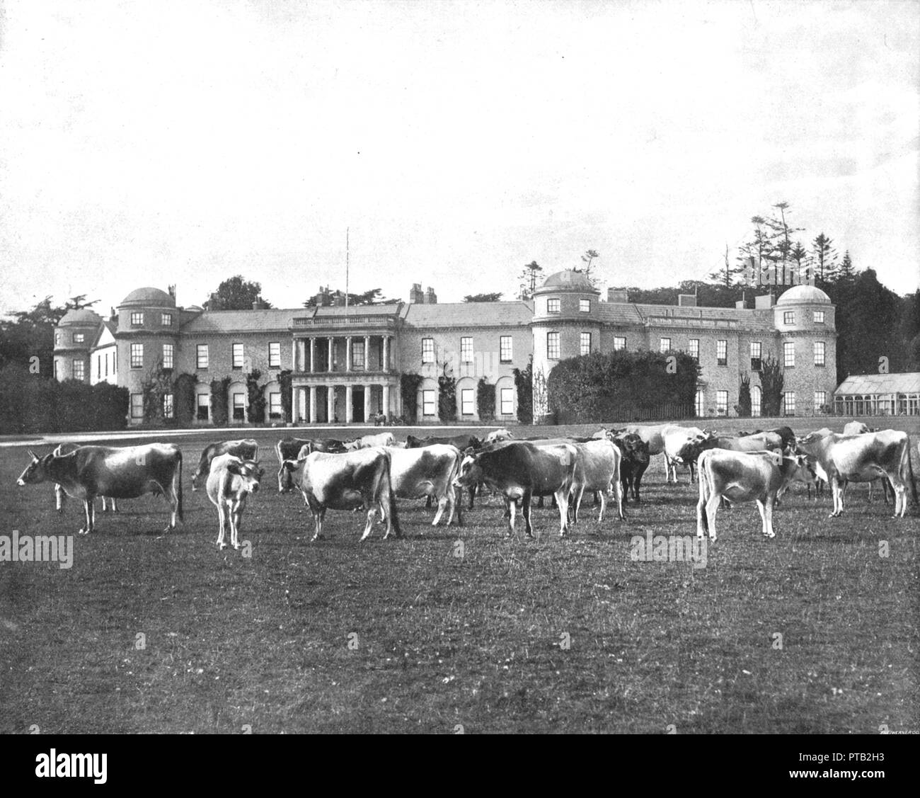 Goodwood, Hampshire, 1894. Creatore: sconosciuto. Foto Stock