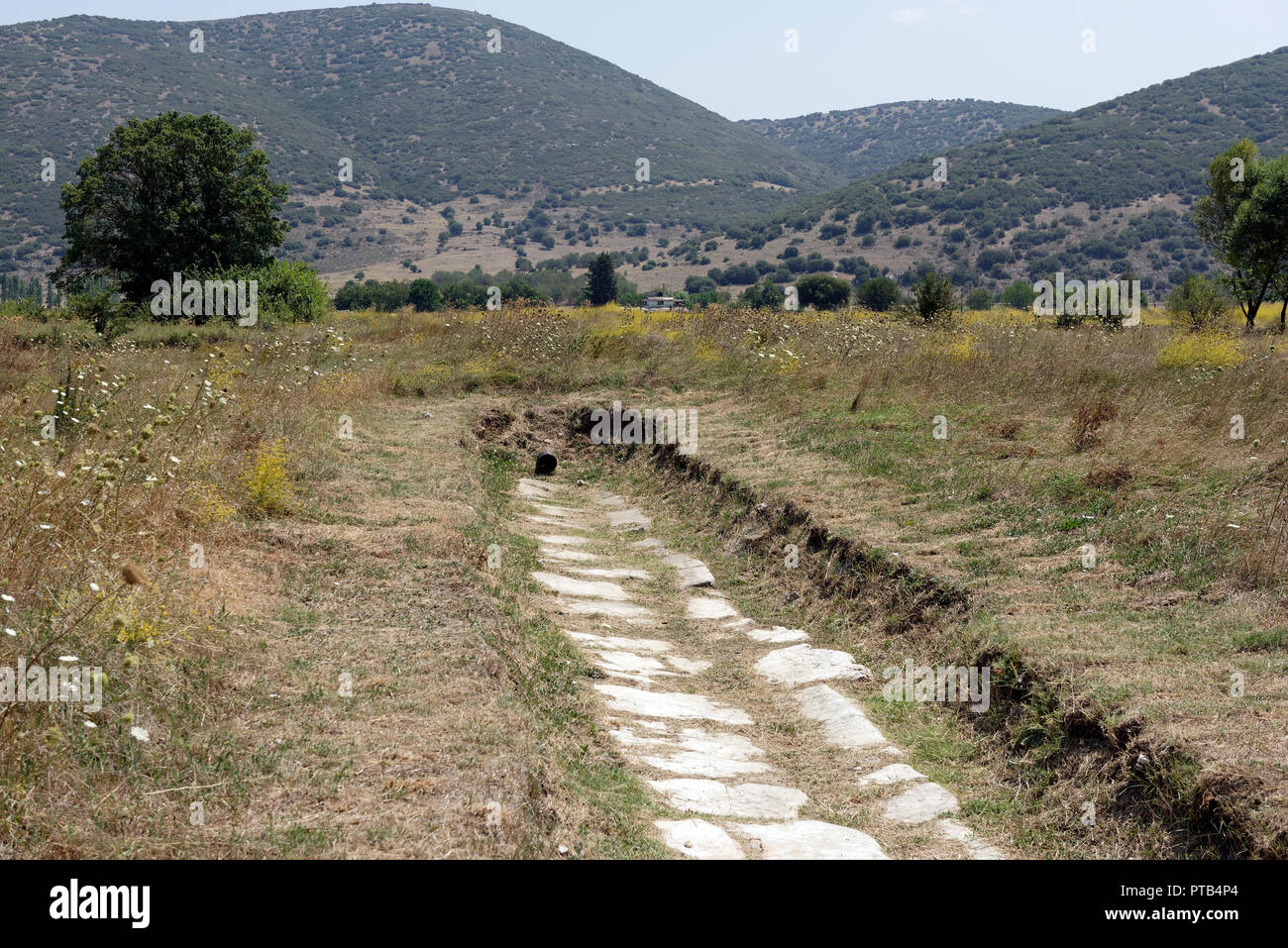 Antico lastricato sentiero in pietra all'interno dell'Agorà, Mantineia, Arcadia, Peloponneso e Grecia. Il mitico fondatore della città fu Manitineas, il nipote o Foto Stock Antico lastricato sentiero in pietra all'interno dell'Agorà, Mantineia, Arcadia, Peloponneso e Grecia. Il mitico fondatore della città fu Manitineas, il nipote o Foto Stock