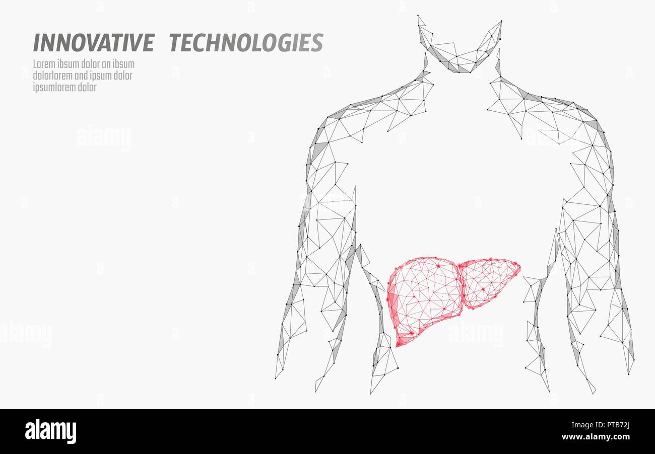 Fegato umano il trattamento di epatite medicina il concetto di business. La prevenzione delle malattie health care medical center medico diagnosi online bassa poli 3D Rendering poligonale della linea punto illustrazione vettoriale Illustrazione Vettoriale