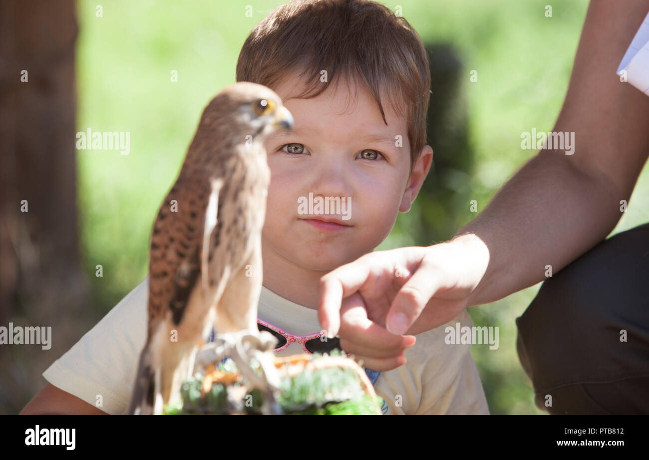 Bambino ragazzo con feriti grillaio a bird rescue center. Educazione ambientale per bambini concept Foto Stock