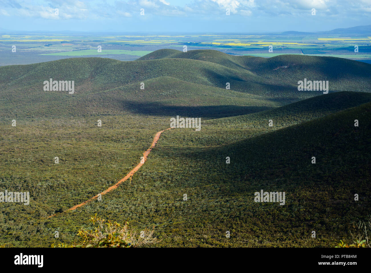 Rosso su strada di ghiaia che conduce attraverso la foresta, Stirling Range National Park, Australia occidentale, Australia Foto Stock