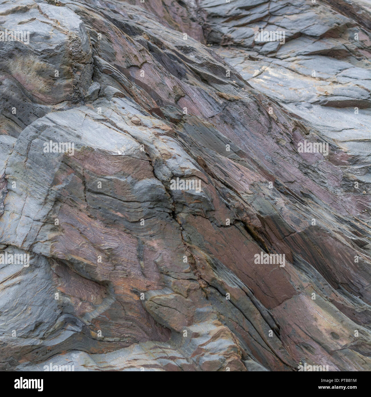 Alterate dal mare e in prossimità delle zone costiere superficie di roccia a Newquay. Foto Stock