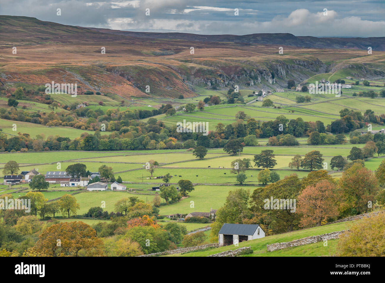 North Pennines AONB Paesaggio, Vista su Holwick dal lato centrale, Middleton in Teesdale, County Durham, Regno Unito in autunno Foto Stock