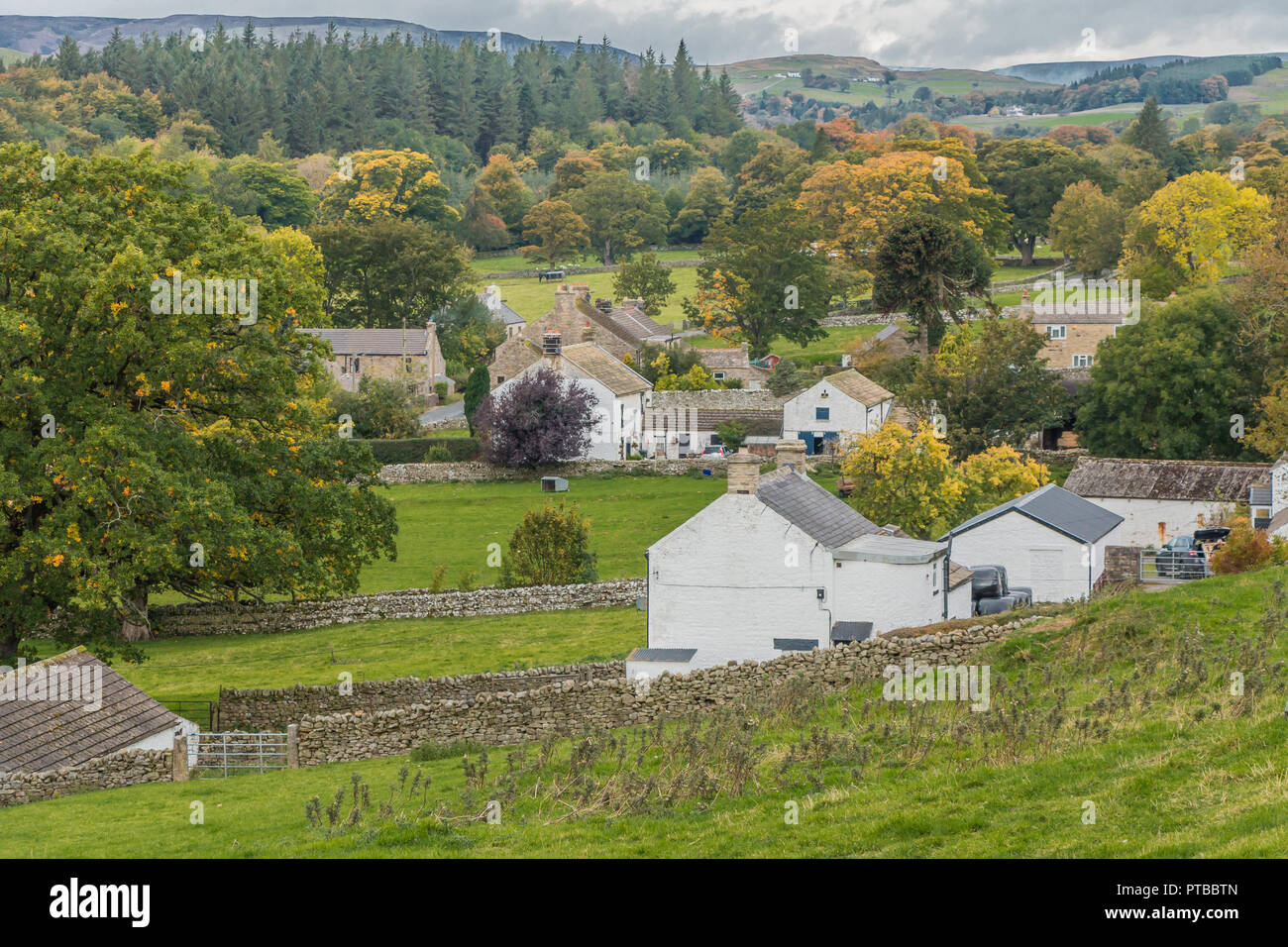 North Pennines AONB paesaggio rurale il borgo agricolo di Newbiggin, Teesdale, County Durham, Regno Unito in autunno Foto Stock