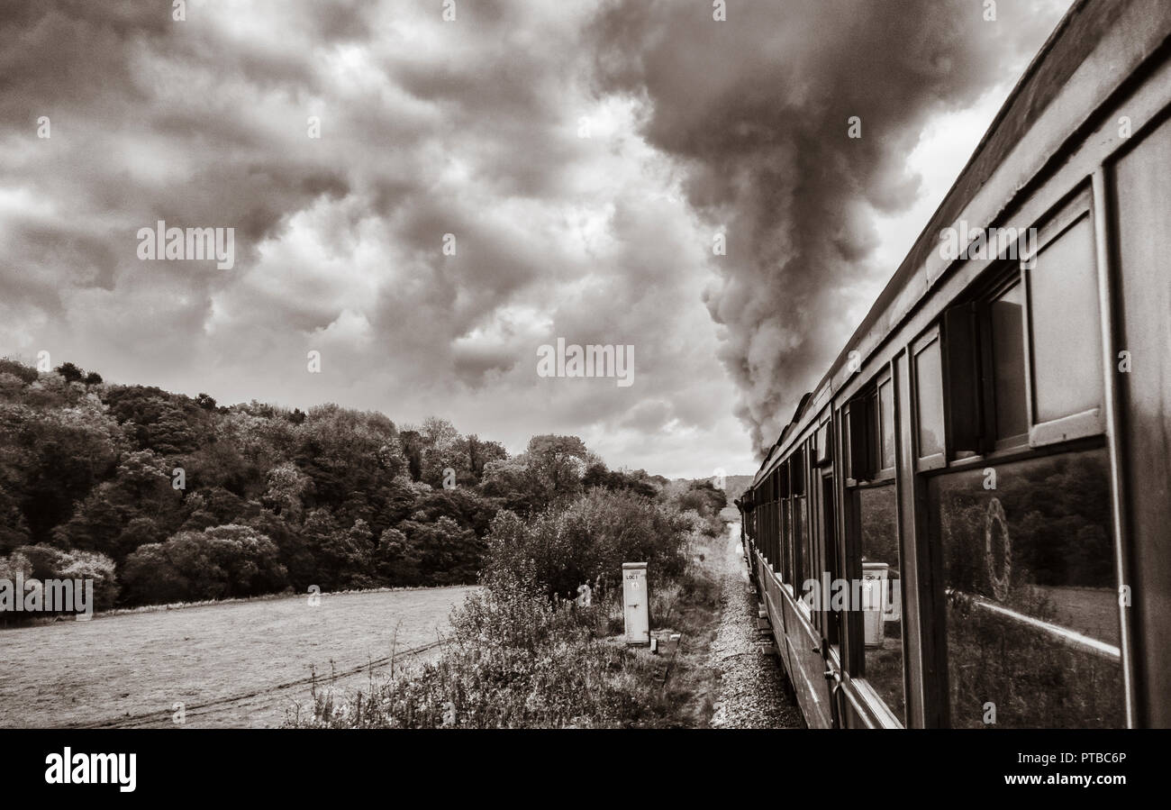 Vista dal treno a vapore che corre tra Pickering e Grosmont sulla North Yorkshire Moors Railway, North Yorkshire, Inghilterra. Regno Unito Foto Stock