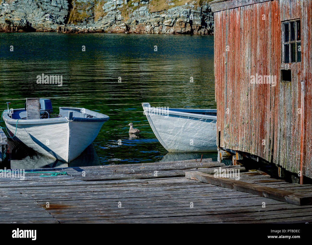 Barche da pesca al pontile nelle zone rurali di Terranova, Canada. Foto Stock