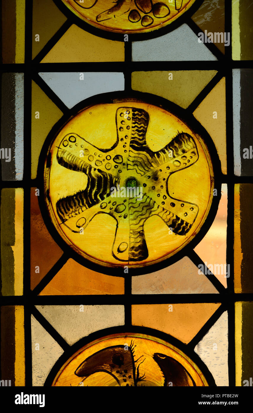 Abstract o motivi geometrici delle vetrate colorate della chiesa di Saint Trophime Arles Provence Francia Foto Stock