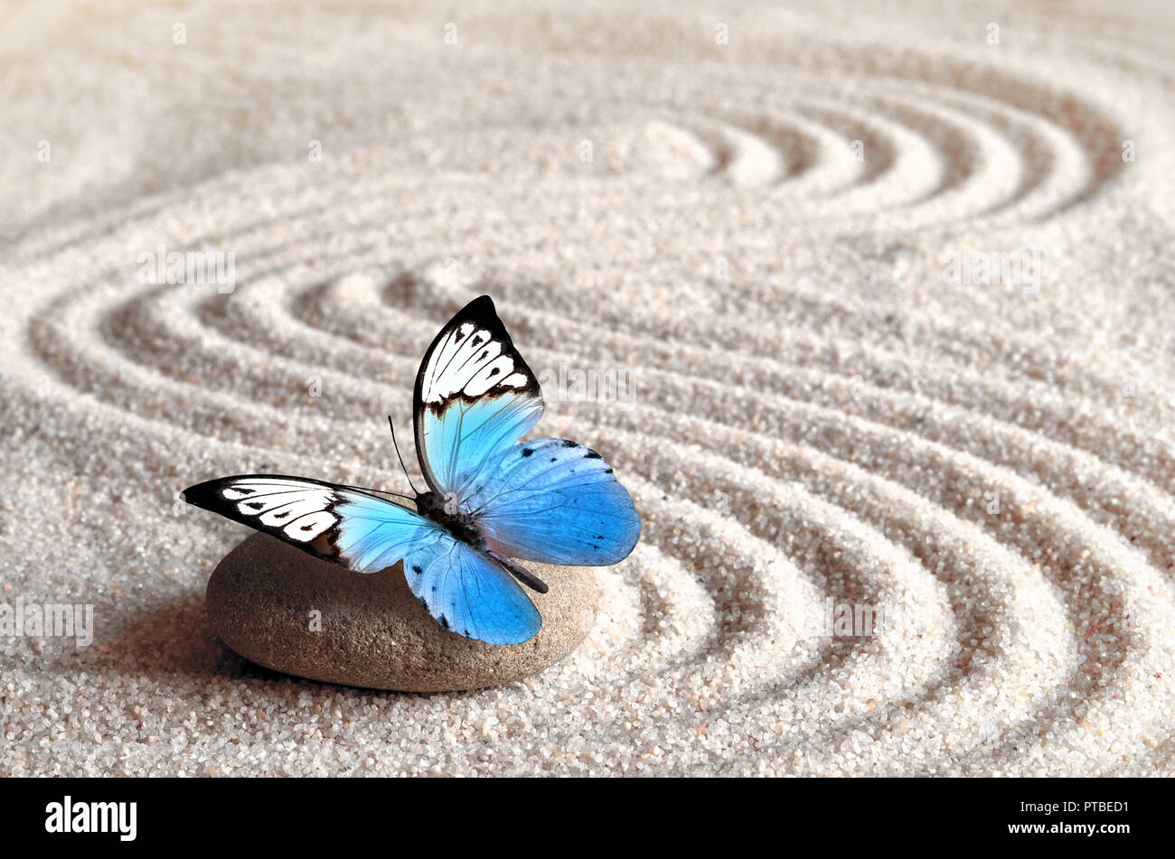 La sabbia, blue butterfly e spa pietra nel giardino zen. Spa concept Foto Stock