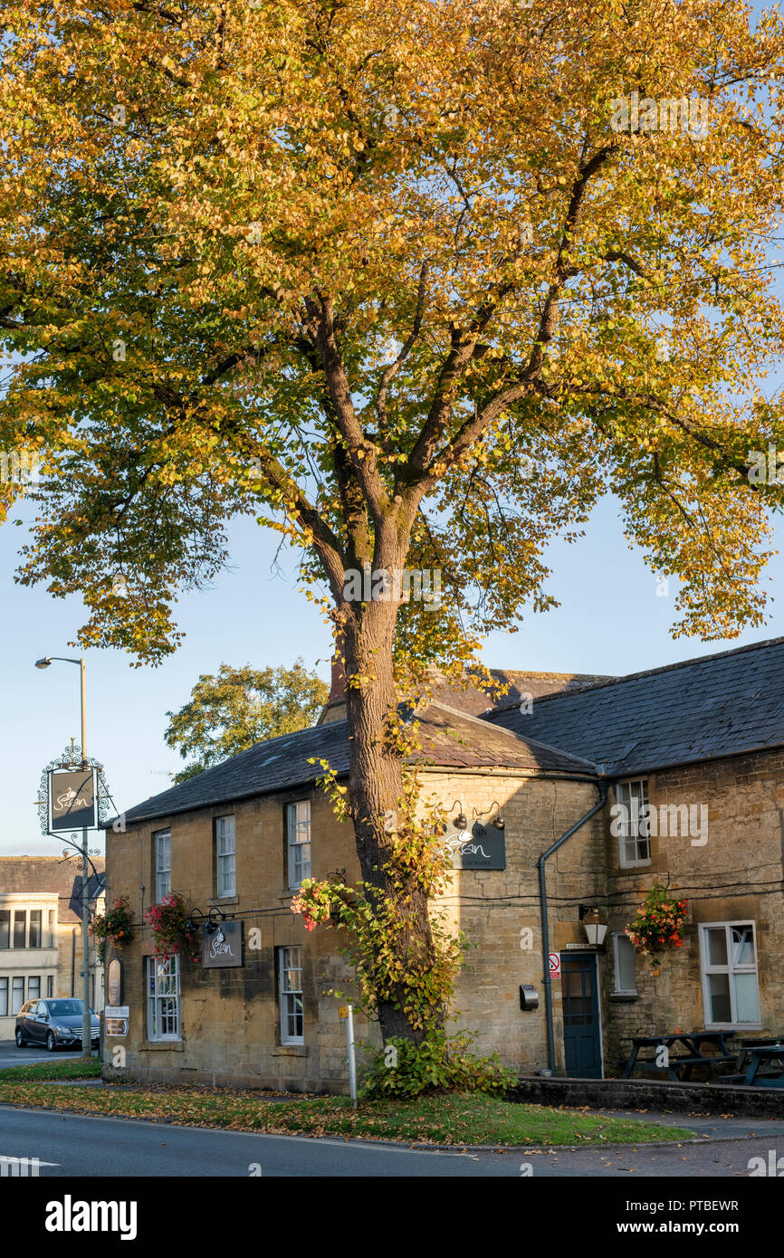 The Swan Inn e lime tree thats cambiando colore in autunno la luce del sole. Moreton in Marsh, Cotswolds, Gloucestershire, Inghilterra Foto Stock