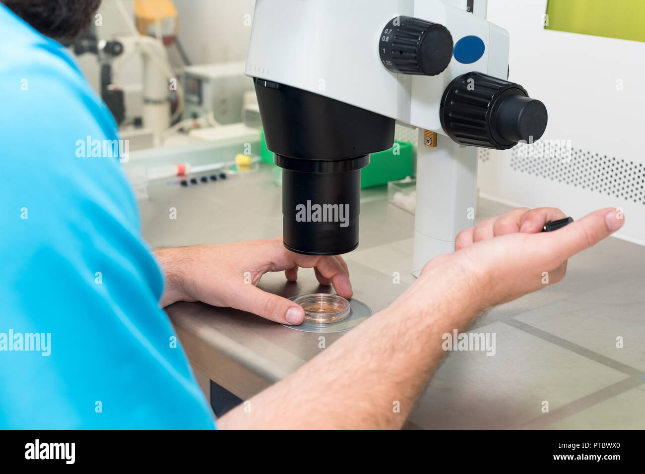 Embryologist o tecnico di laboratorio la Regolazione ago per fertilizzare un uovo umano sotto il microscopio. Medico aggiunta di spermatozoi per uovo usando microscopio. IVF Fertil Foto Stock