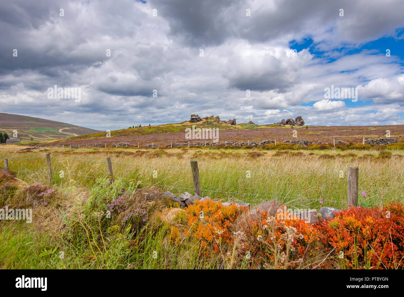 Idilliaco paesaggio di campagna britannica in tarda estate.drammatico sky su campi coperti con erbe secche e la recinzione.Colorata paesaggi rurali del Regno Unito.Moor Foto Stock