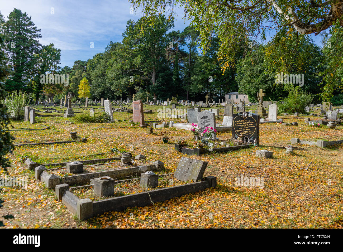 Vista su vecchie e nuove tombe presso il Cimitero di Hollybrok in Southampton, England, Regno Unito Foto Stock