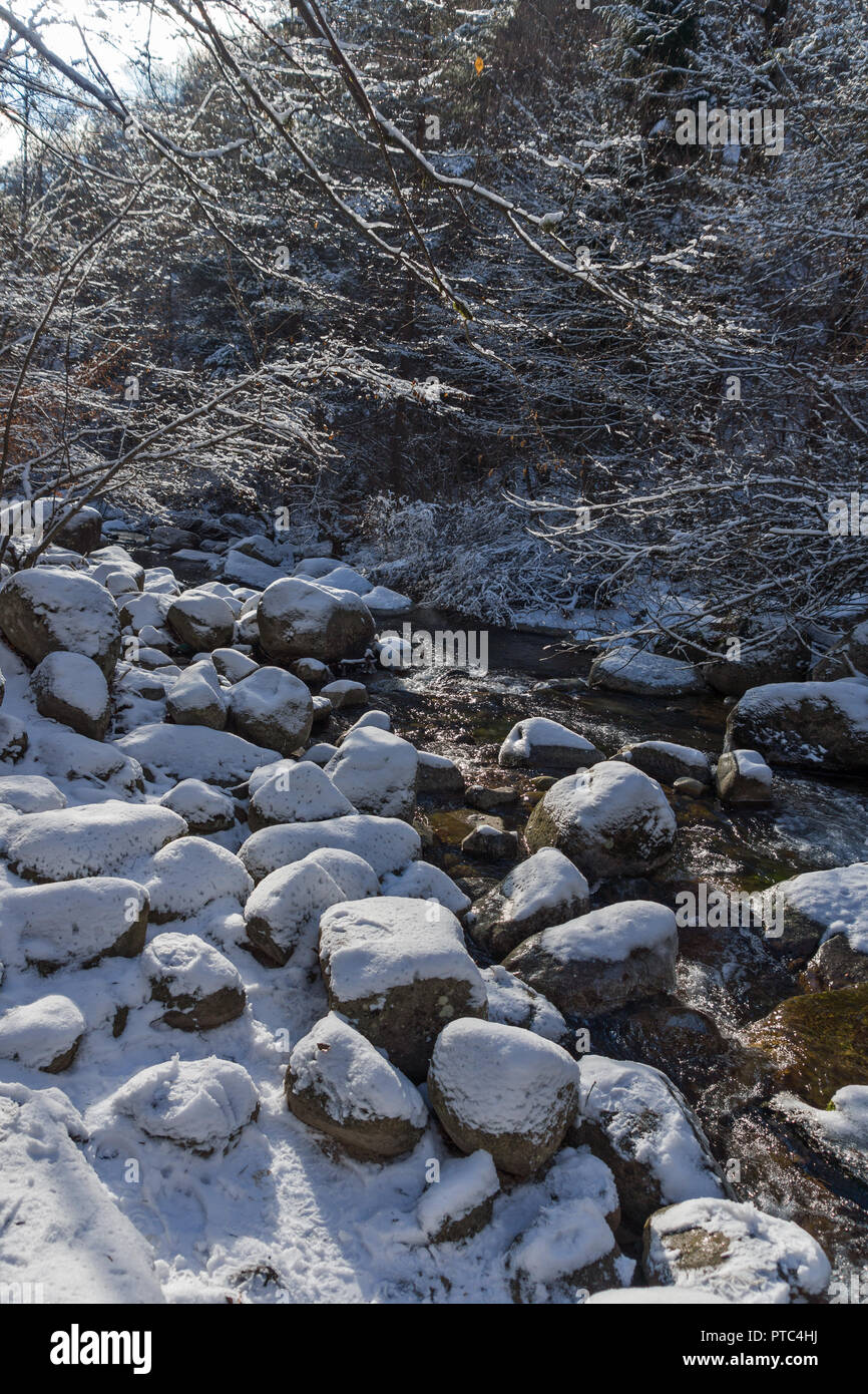 Paesaggio invernale di Popina Laka cascata vicino alla città di Sandanski, montagna Pirin, Bulgaria Foto Stock