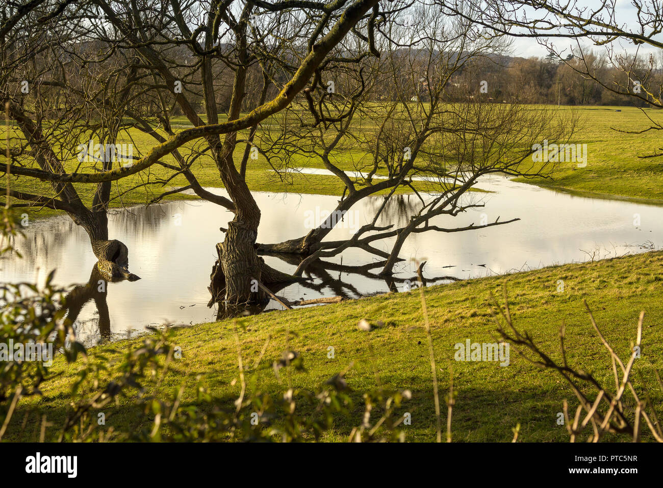Terra allagata a Studley, Warwickshire nel 2014. Foto Stock