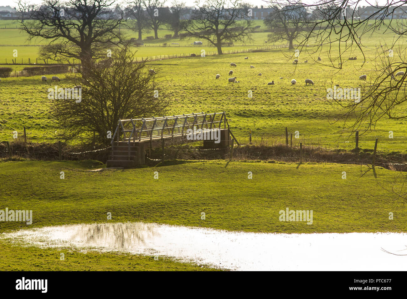 Terra allagata a Studley, Warwickshire nel 2014. Foto Stock
