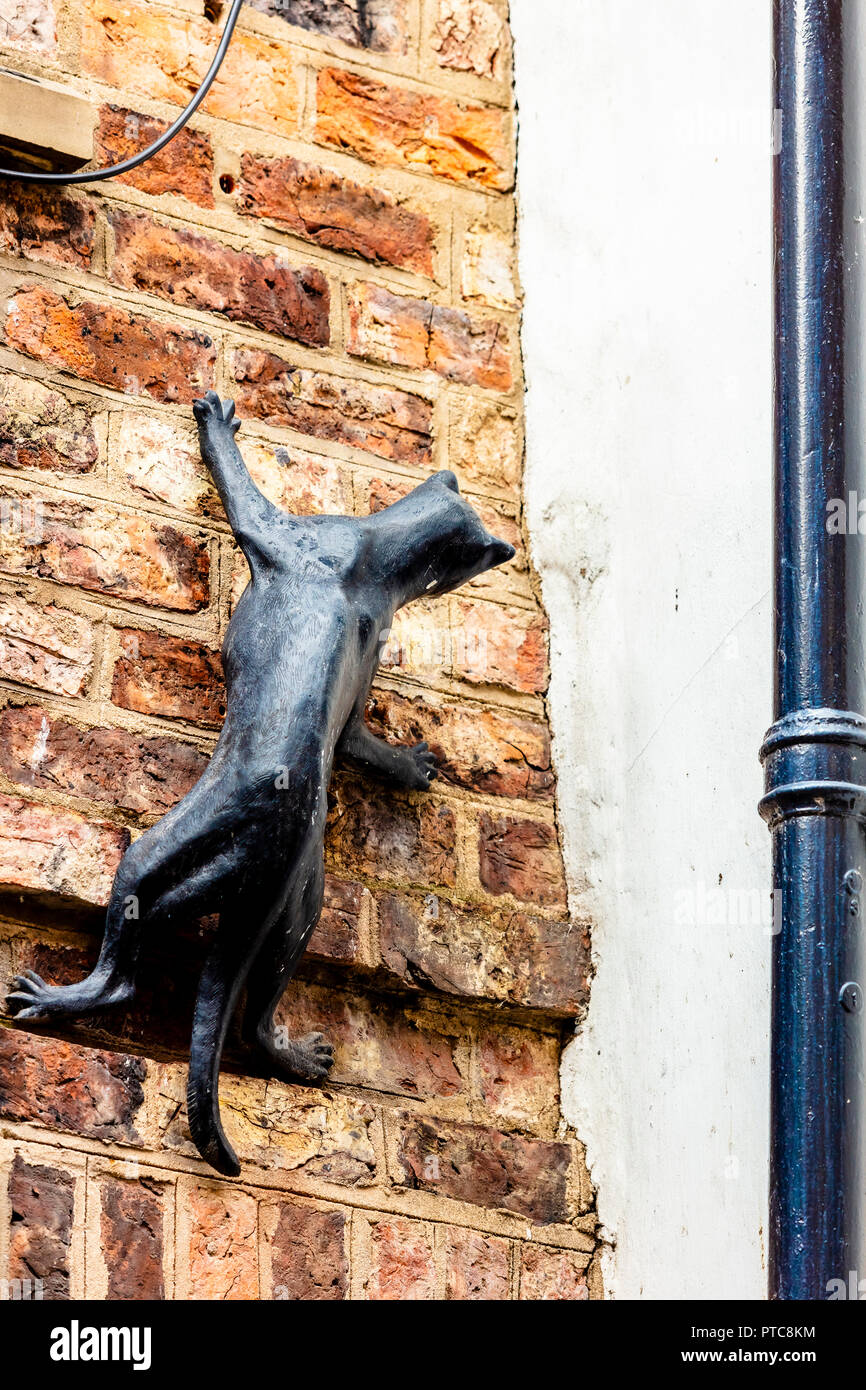 YORK, Regno Unito - 28 agosto 2018: il caos, York's medievale più famosa strada storica architettura a sbalzo con lucky gatto nero Foto Stock