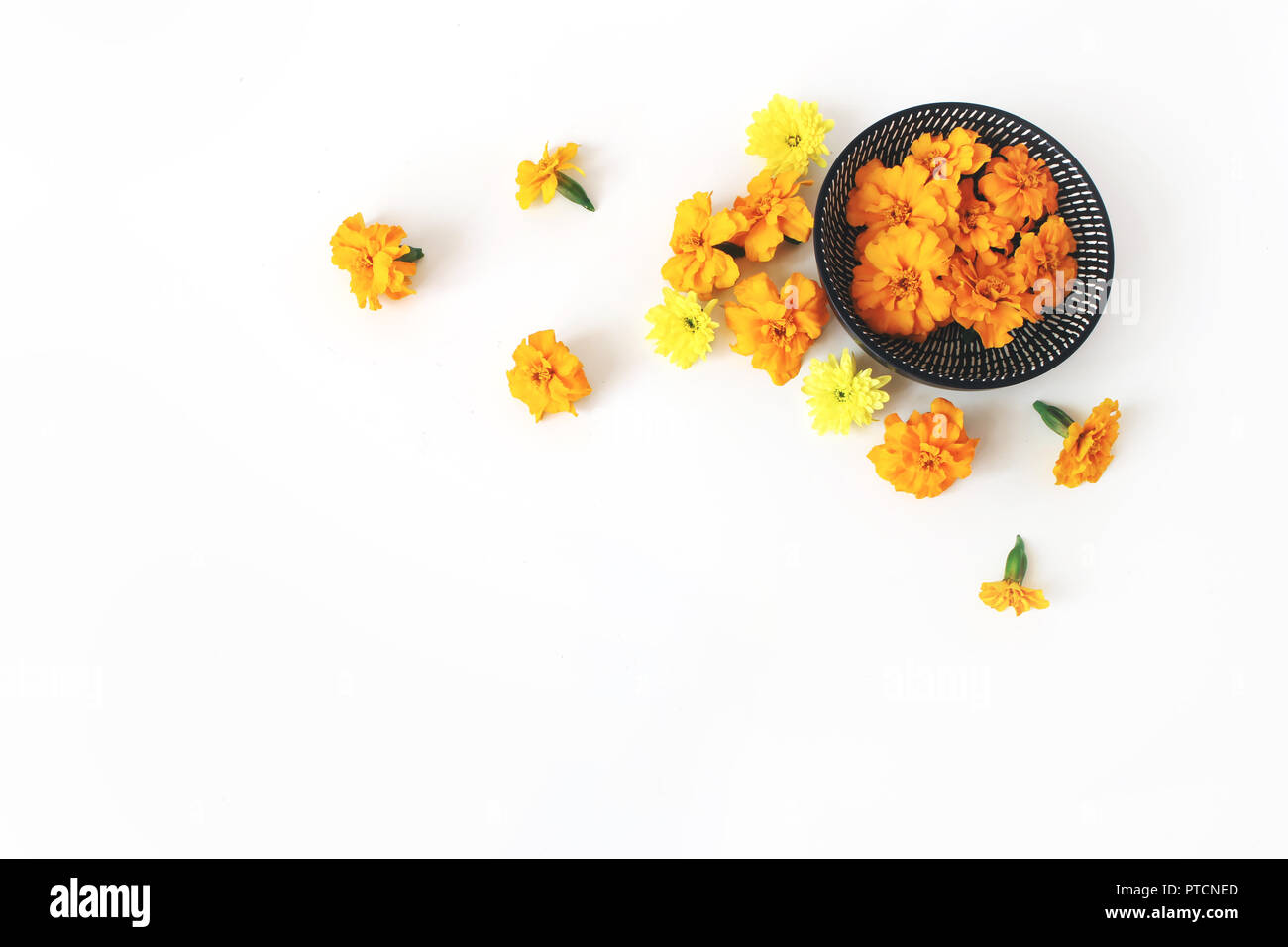 Il dia de los Muertos, Messicana il Giorno dei Morti desk composizione. Orange tagetes, calendula e crisantemo giallo dei fiori in vaso nero e bianco su sfondo tabella. Piatto di Halloween di laici che, vista dall'alto Foto Stock