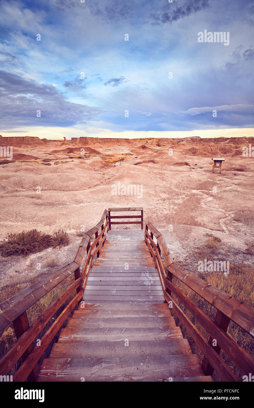 Colore immagine dai toni della scala in legno per un sentiero nel Parco nazionale Badlands, Dakota del Sud, Stati Uniti d'America. Foto Stock