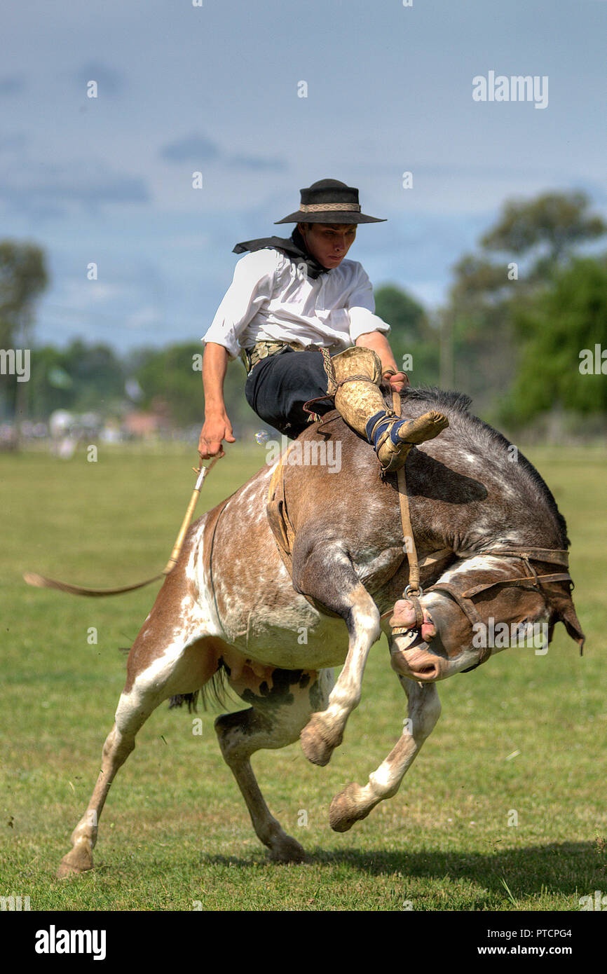 Il pilota non identificato chiamato gaucho a cavallo in una tradizione Festival di San Antonio de Areco a Buenos Aires, Argentina Foto Stock