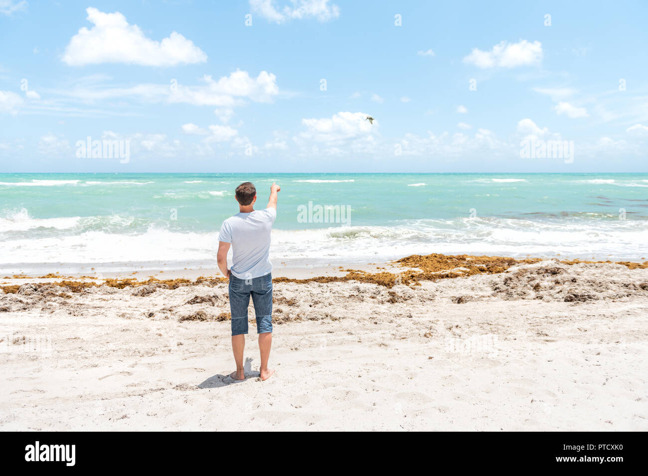 Giovane uomo in tshirt, shorts permanente sulla sabbia, spiaggia sabbiosa a Miami in Florida con vista oceano, onde del mare puntare il dito, mano a volo di uccelli, Pellicano Foto Stock