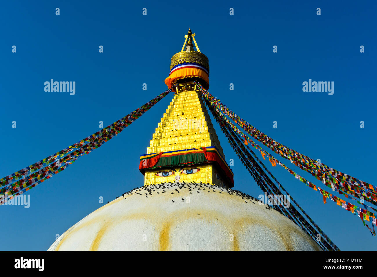 Stupa Boudhanath con uccelli, Kathmandu, Nepal Foto Stock