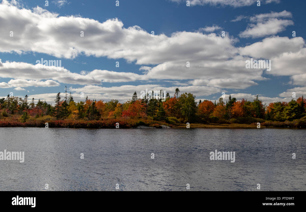 Paesaggi d'autunno in una giornata di sole in Nova Scotia. Foto Stock