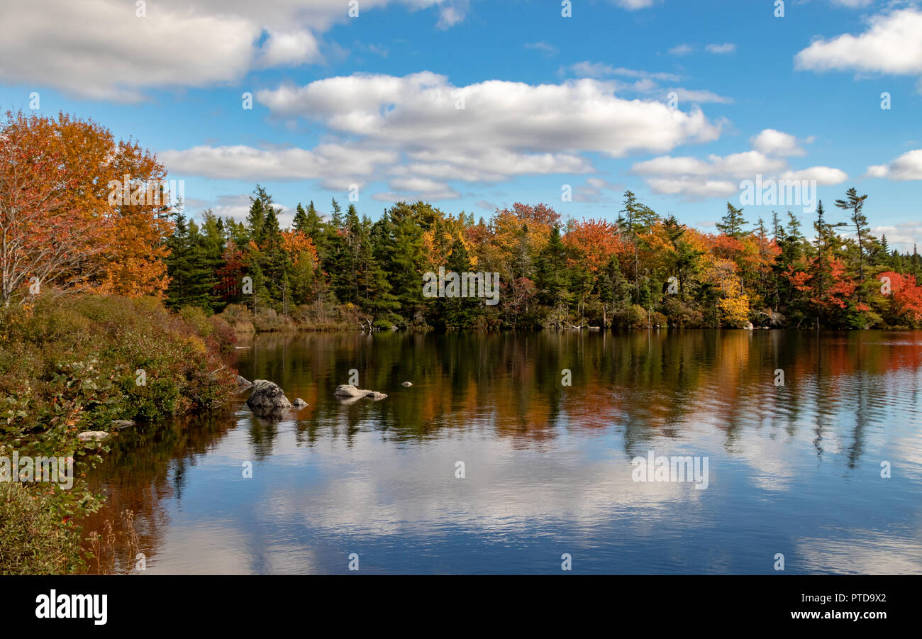 Paesaggi d'autunno in una giornata di sole in Nova Scotia. Foto Stock