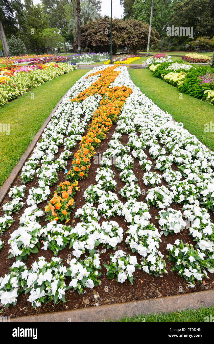 Il carnevale di fiori sul patrimonio storico Queen's Park Botanic Gardens, Toowoomba, Sud del Queensland, QLD, Australia Foto Stock