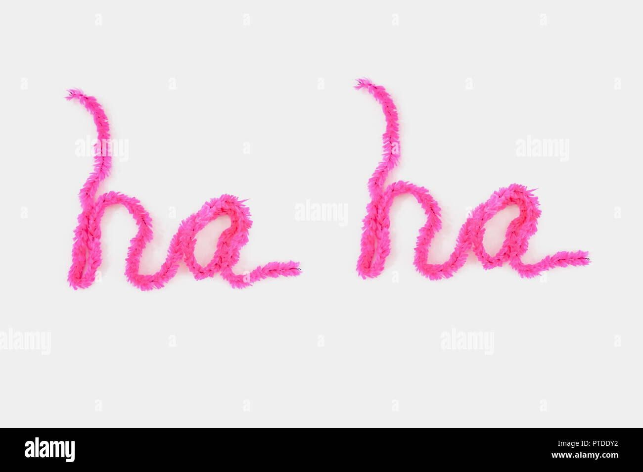 Rosa tipografia fuzzy realizzato in morbido filato l'ortografia delle parole "ah ah' su uno sfondo bianco con una stanza per la copia Foto Stock