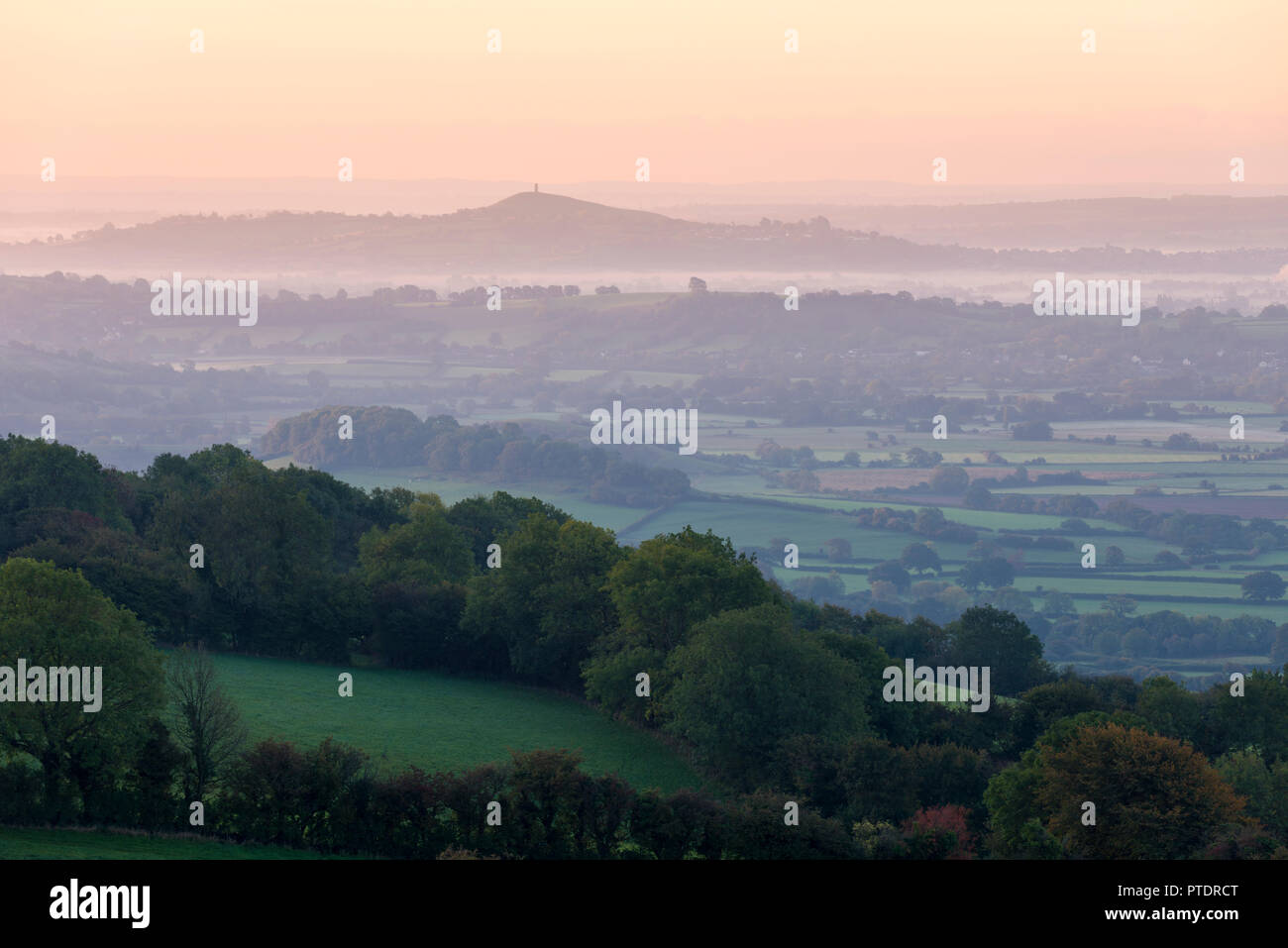 Early Morning mist oltre i livelli di Somerset e Glastonbury Tor visto dal Draycott Sleights in Mendip Hills, Somerset, Inghilterra. Foto Stock
