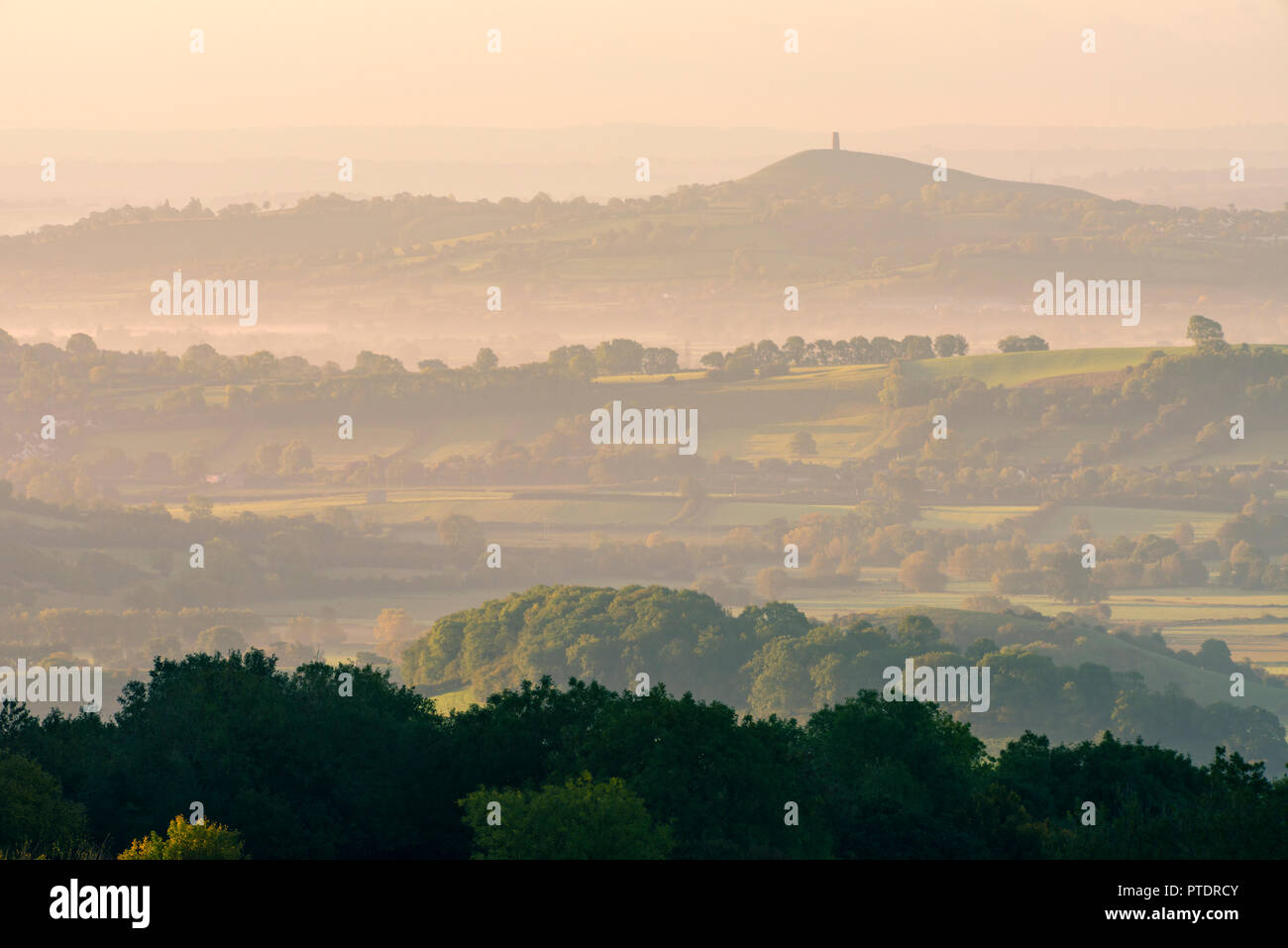 Early Morning mist oltre i livelli di Somerset e Glastonbury Tor visto dal Draycott Sleights in Mendip Hills, Somerset, Inghilterra. Foto Stock