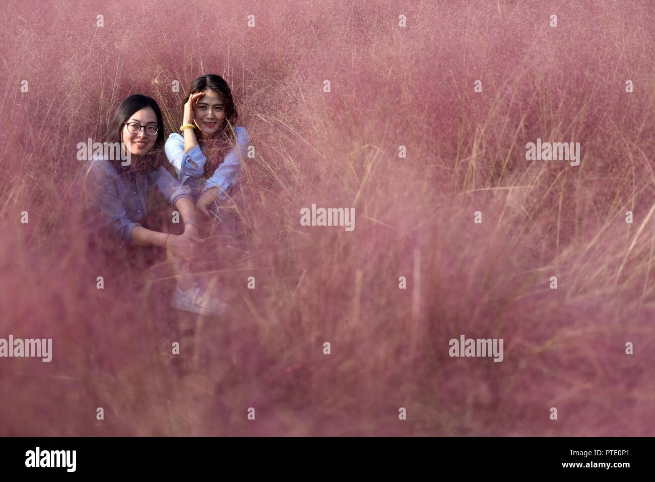 8 Ottobre 2018 - Huai'an, Cina - Due ragazze sit in rosa hairawn muhly fiorisce a Baima Lake Forest Park. Credito: SIPA Asia/ZUMA filo/Alamy Live News Foto Stock