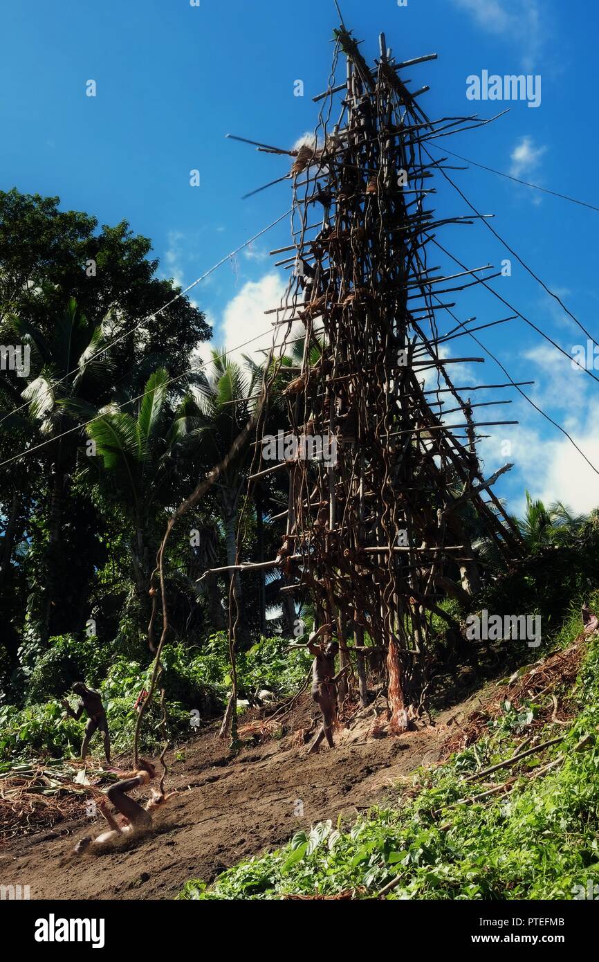 Panngi, Pentecoste / isola di Vanuatu - 10 Maggio 2016: Terra diving cerimonia che si è svolta la celebrazione di filato raccolto intorno al South West Shore Foto Stock