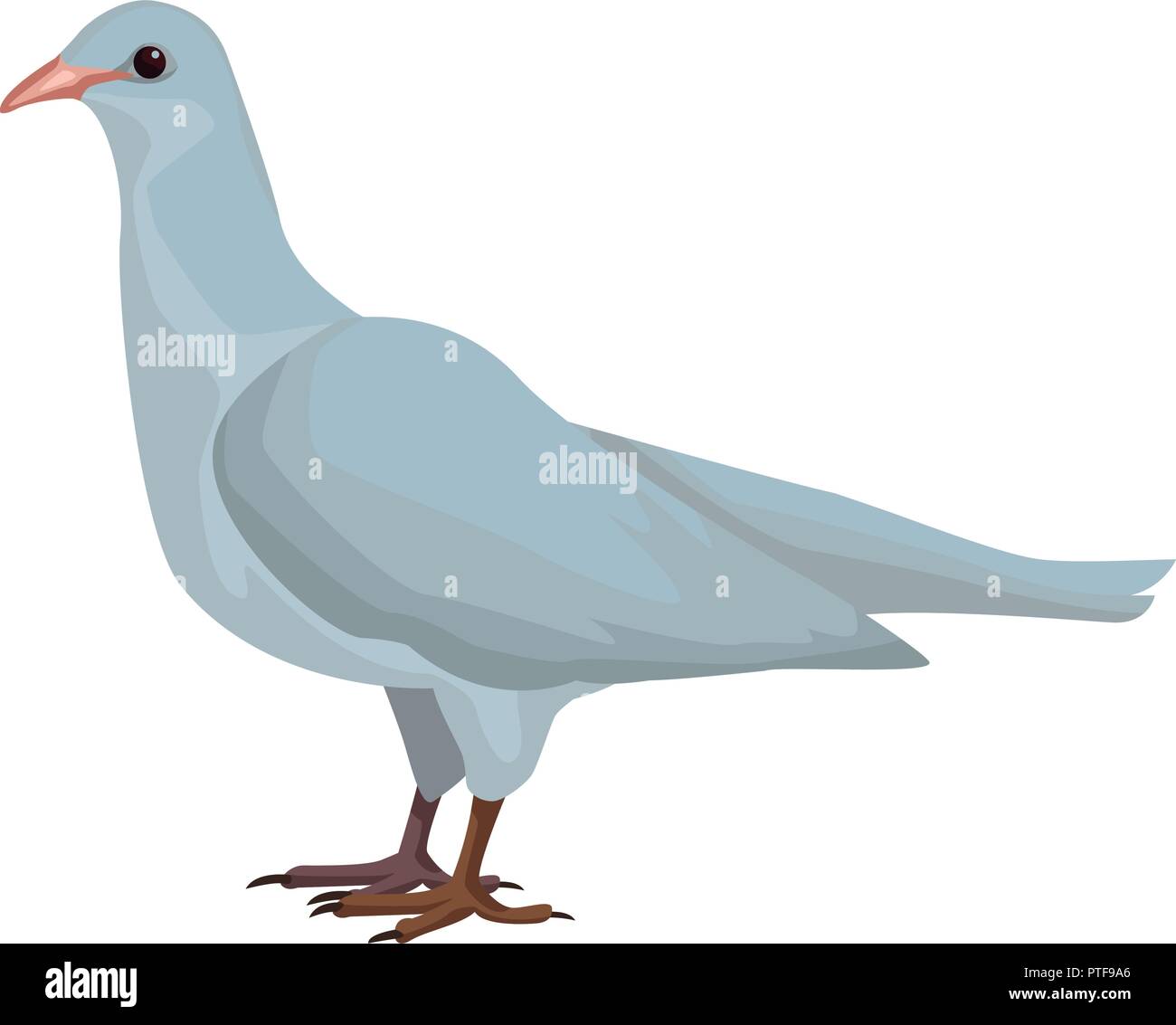 Uccello della colomba di bianco Illustrazione Vettoriale