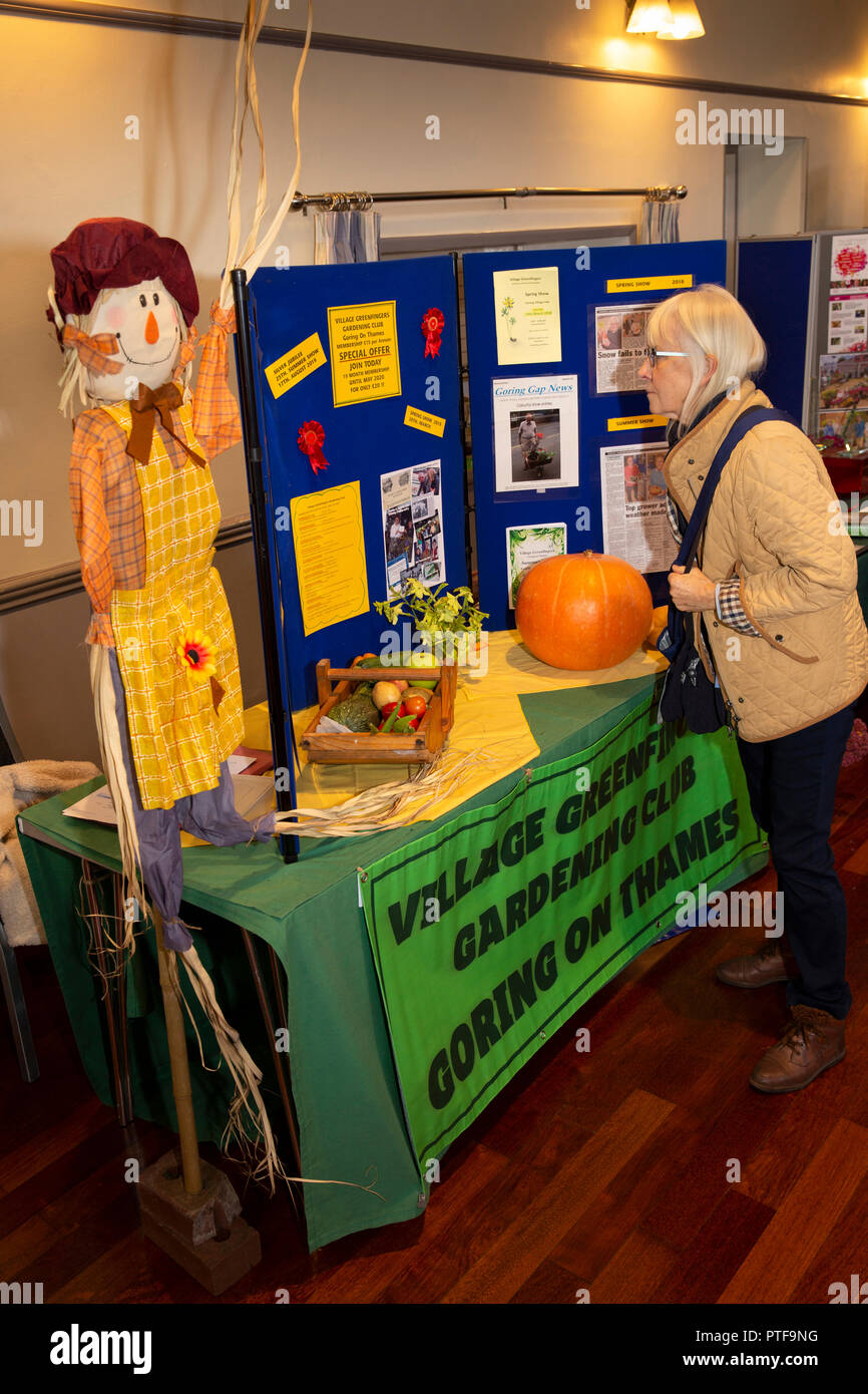 Inghilterra, Berkshire, Goring sul Tamigi, High Street, Village Hall di organizzazione comunitaria fair, senior donna a Greenfingers club di giardinaggio in stallo Foto Stock