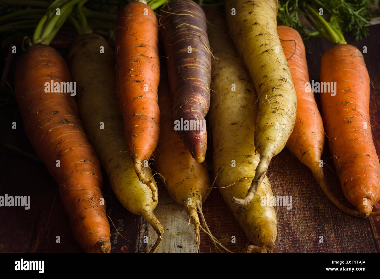 Appena raccolto cimelio di famiglia o rainbow carote in una varietà di colori shot con scuri di illuminazione creativa Foto Stock