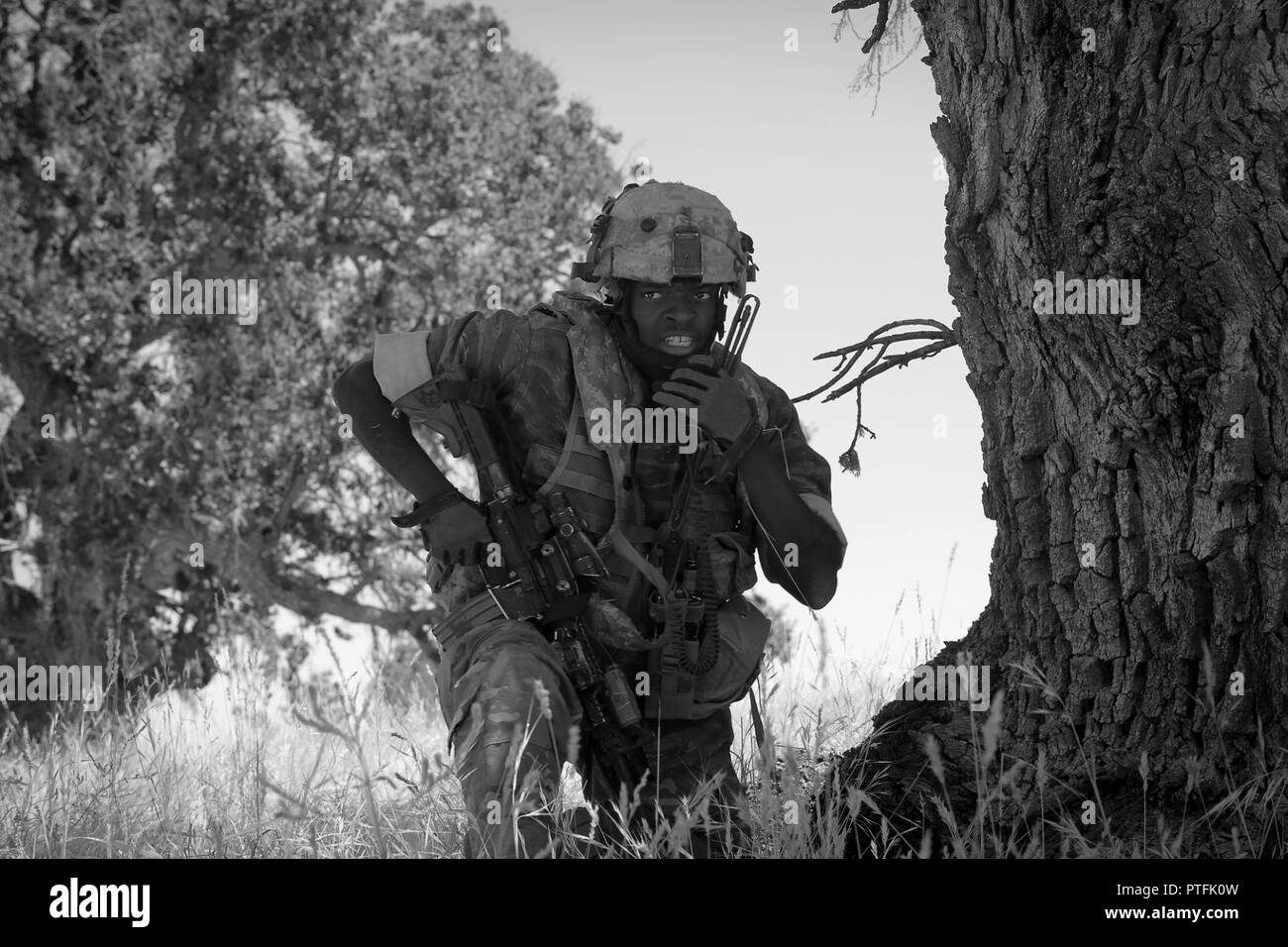 Stati Uniti Il personale dell'esercito Sgt. Andrew Burke, un fante con il 5° Battaglione, ventesimo Reggimento di Fanteria, basato sulla giunzione base corda Lewis-Mc, nello Stato di Washington, chiama i suoi compagni di squadra, la forza di contrasto alla riserva di esercito e Guardia Nazionale forze, durante il combattimento Supporto Formazione esercizio 91-17-03, 18 luglio 2017, a Fort Hunter Liggett, California Circa 5.000 riserva di esercito e Guardia Nazionale forze hanno partecipato all'esercizio. Prima armata fornito circa 65 osservatore pullman/formatori per aumentare la loro riserva di esercito di partner a 91Divisione Formazione e assistenza in materia di formazione il più capace, combattere-pronto e letale feder Foto Stock