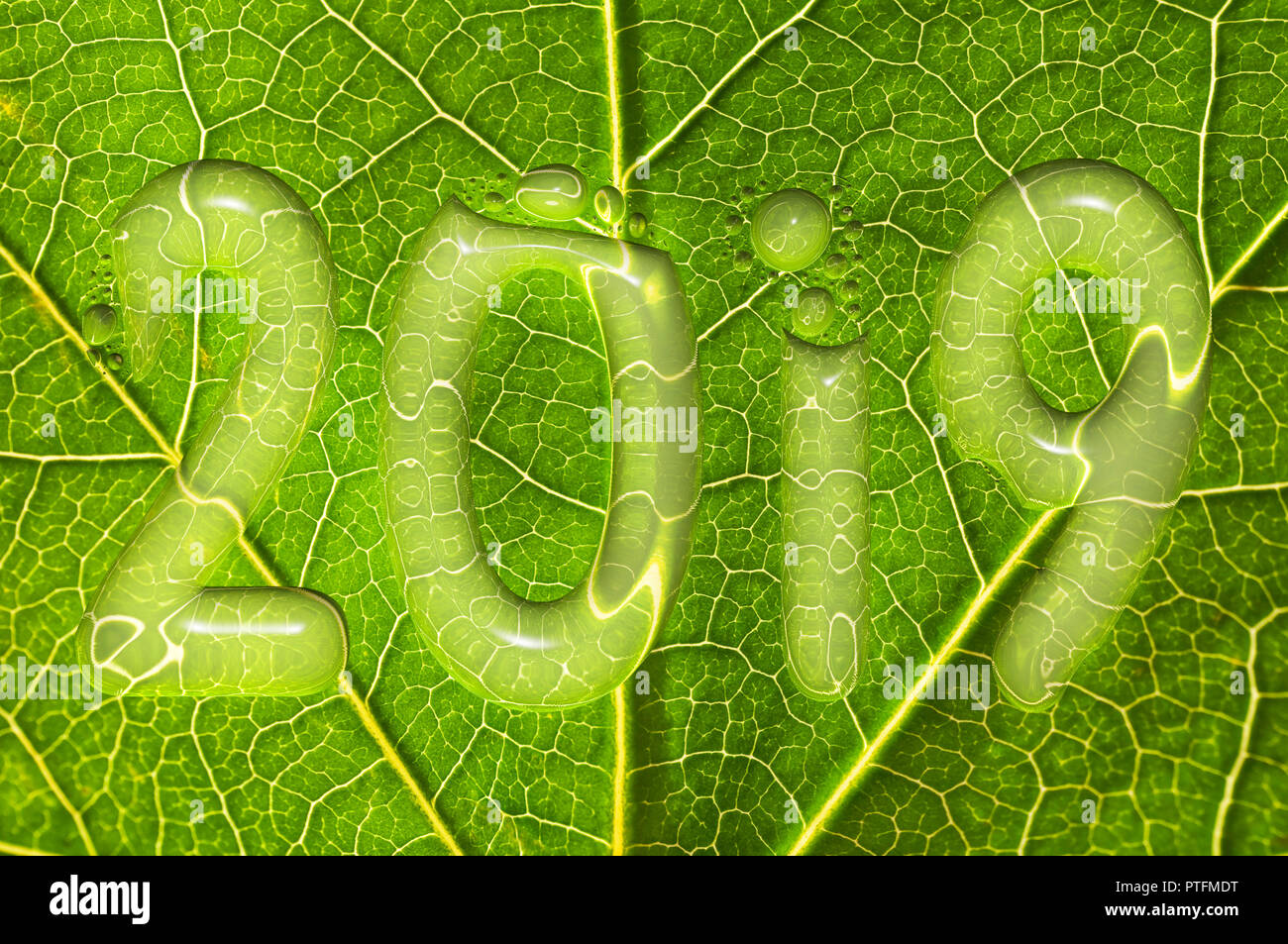 2019, gocce di pioggia su una foglia verde sfondo, 2019 Anno nuovo concetto di ambiente Foto Stock