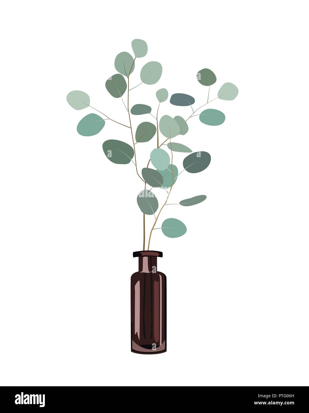 Rami di eucalipto in una bottiglia scura vaso sullo sfondo bianco. Decorazione elemento di design. Illustrazione Vettoriale Illustrazione Vettoriale