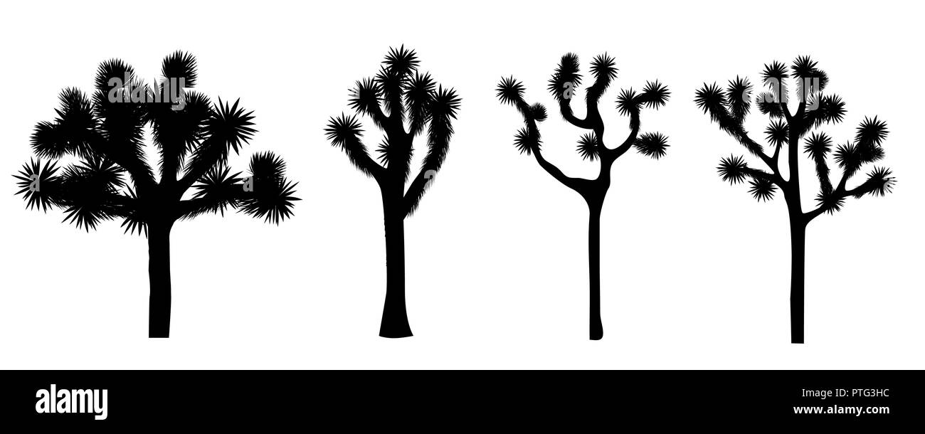 Joshua tree isolati su sfondo bianco. Vettore Collezione. Elemento Desigh con Yucca brevifolia silhouette nera. Illustrazione Vettoriale