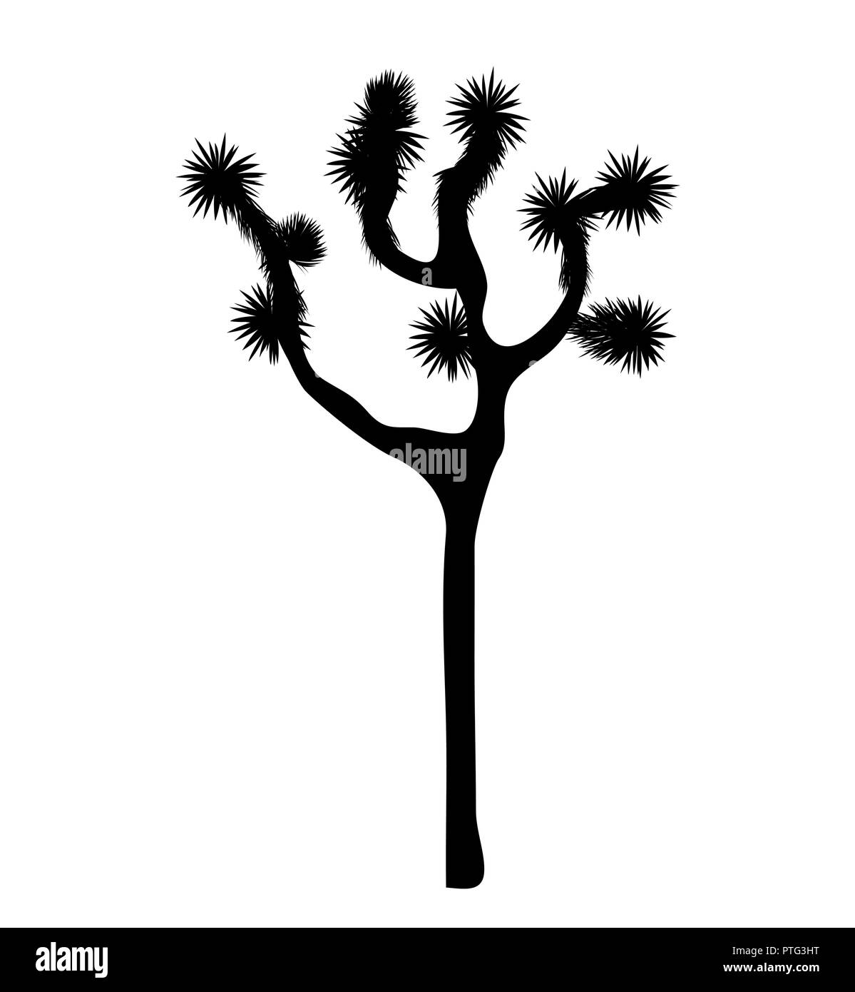 Joshua tree vettore isolato su sfondo bianco. Elemento Desigh con Yucca brevifolia slim e silhouette nera. Illustrazione Vettoriale