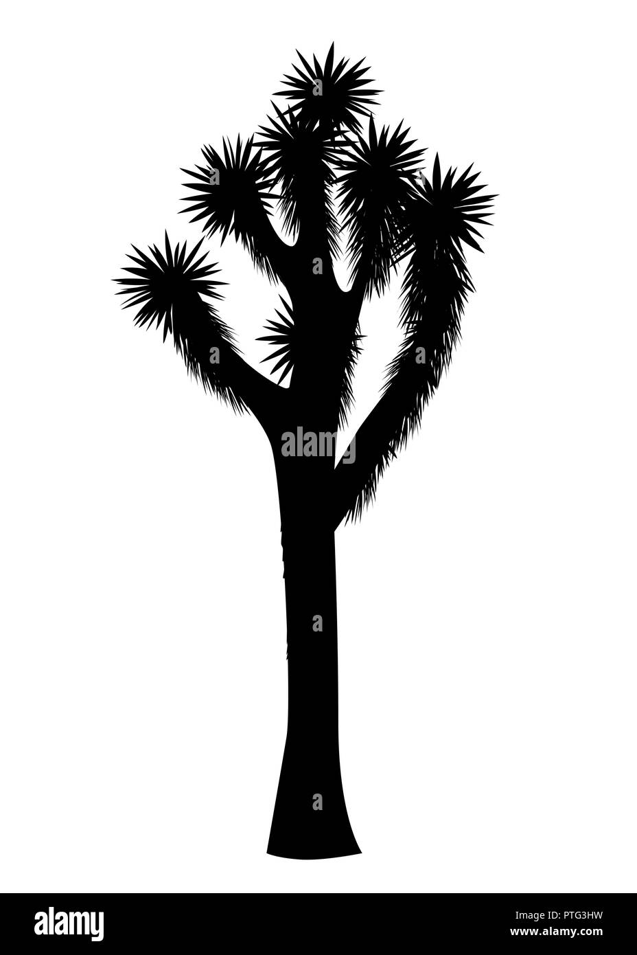 Joshua tree vettore isolato su sfondo bianco. Elemento Desigh con Yucca brevifolia slim e silhouette nera. Illustrazione Vettoriale
